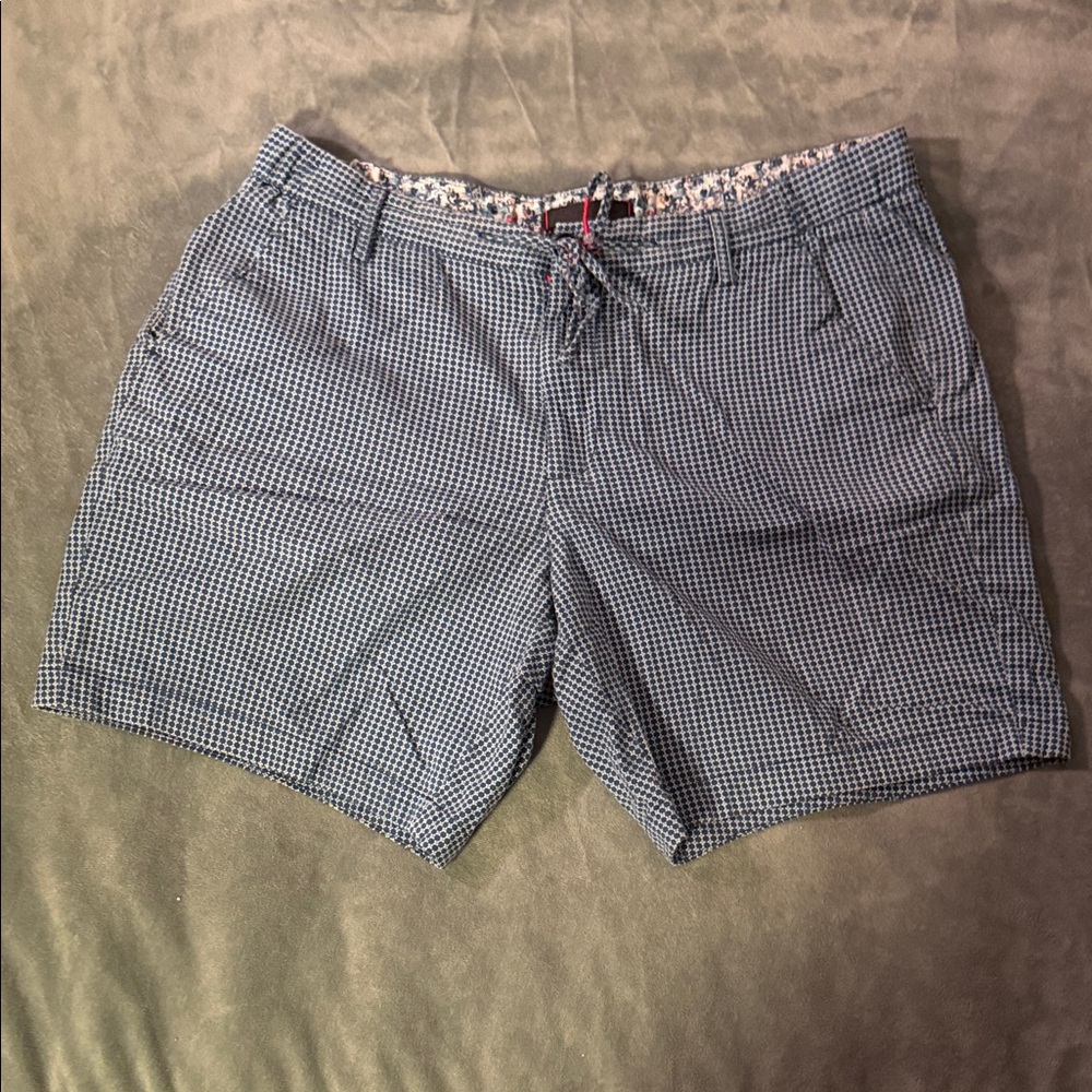 Robert Graham Blue and White Checkered Men Shorts
